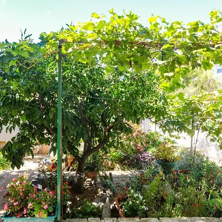 Apartments By The Sea Zaboric, Sibenik - 958 Apartment