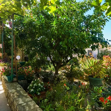 Apartments By The Sea Zaboric, Sibenik - 958 Apartment Zaboric